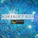 Schoology Alfa