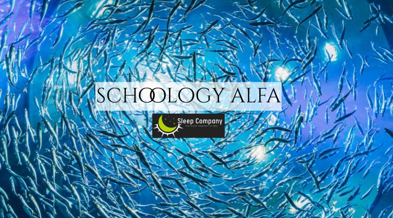 Schoology Alfa